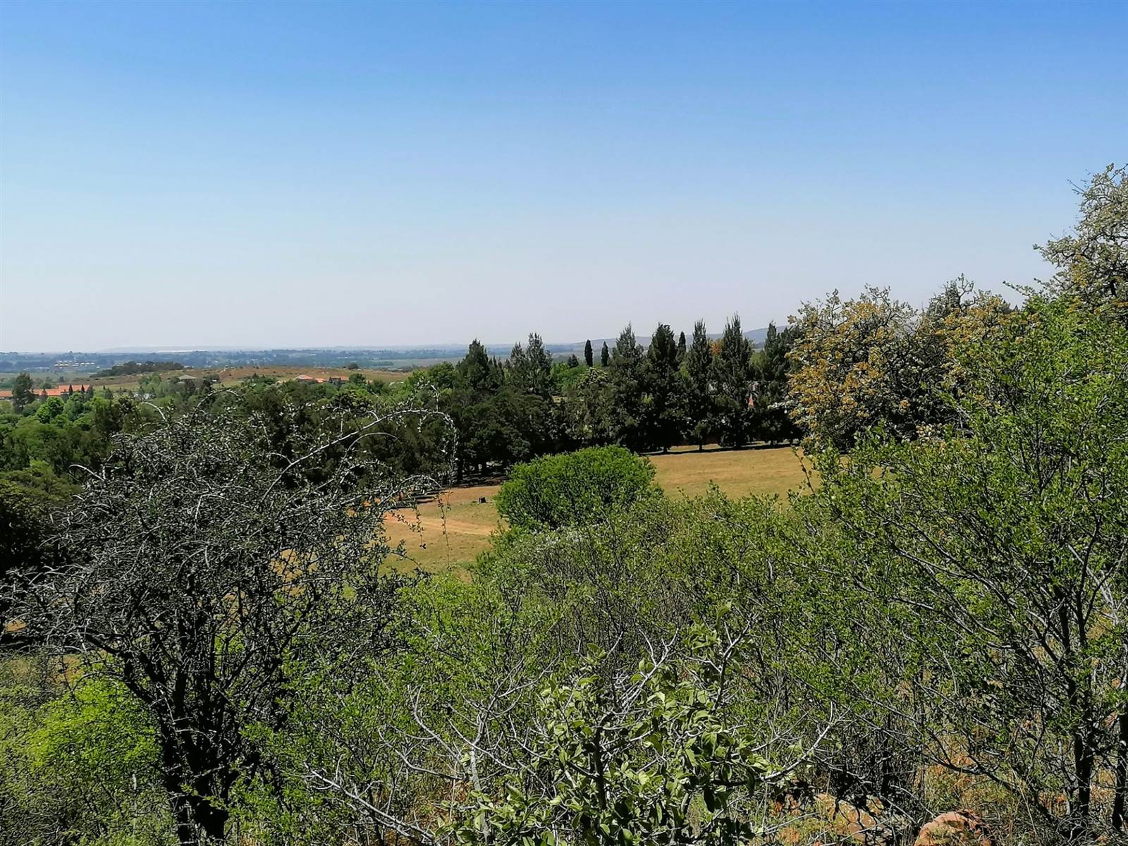 1 ha Land available in Blue Saddle Ranches photo number 6