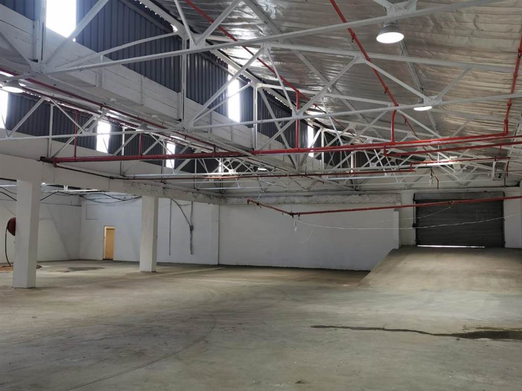 2000  m² Industrial space in Congella photo number 14
