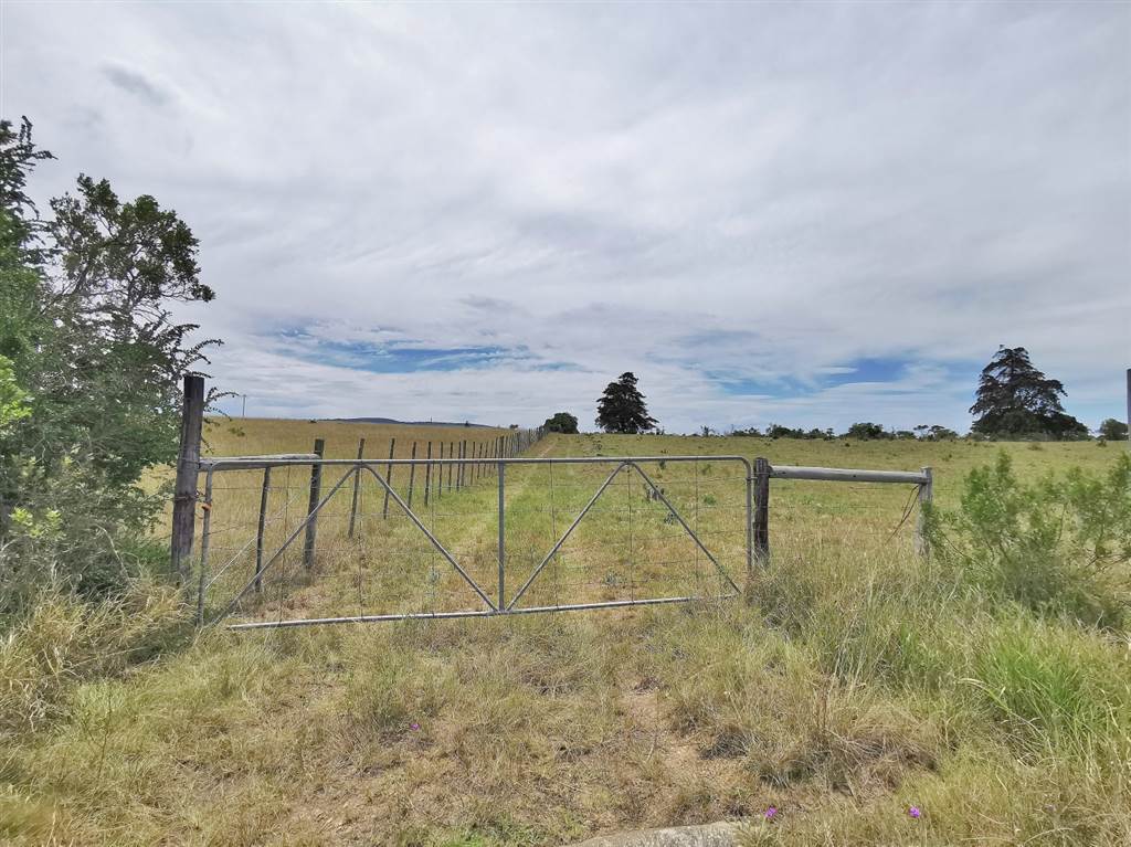 346 ha Farm in Bathurst and Surrounds photo number 12