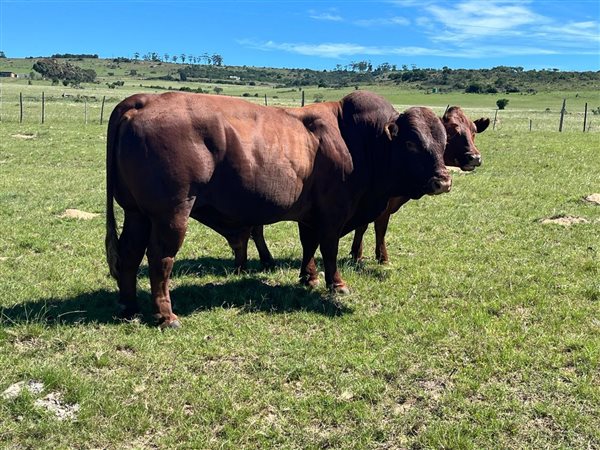 265 ha Farm 265 ha Farm