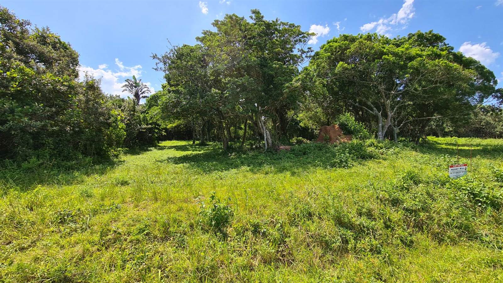 809 m² Land available in Cintsa photo number 7