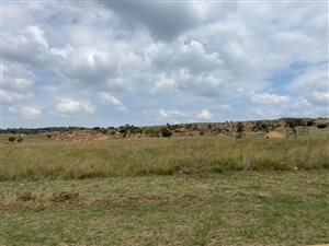 1 ha Land available in Bronkhorstbaai
