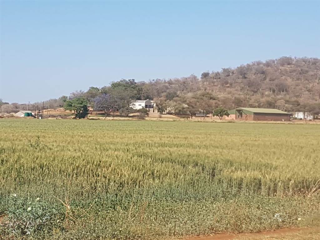 550 ha Farm in Thabazimbi photo number 20