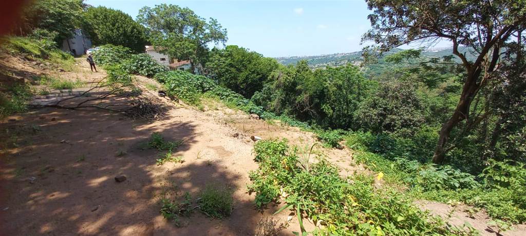 2975 m² Land available in Malvern photo number 3