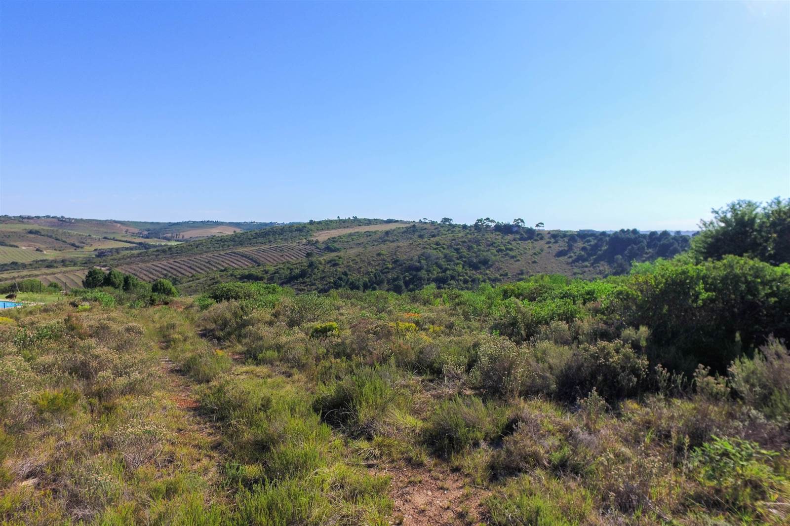 1500 m² Land available in Brackenridge photo number 3