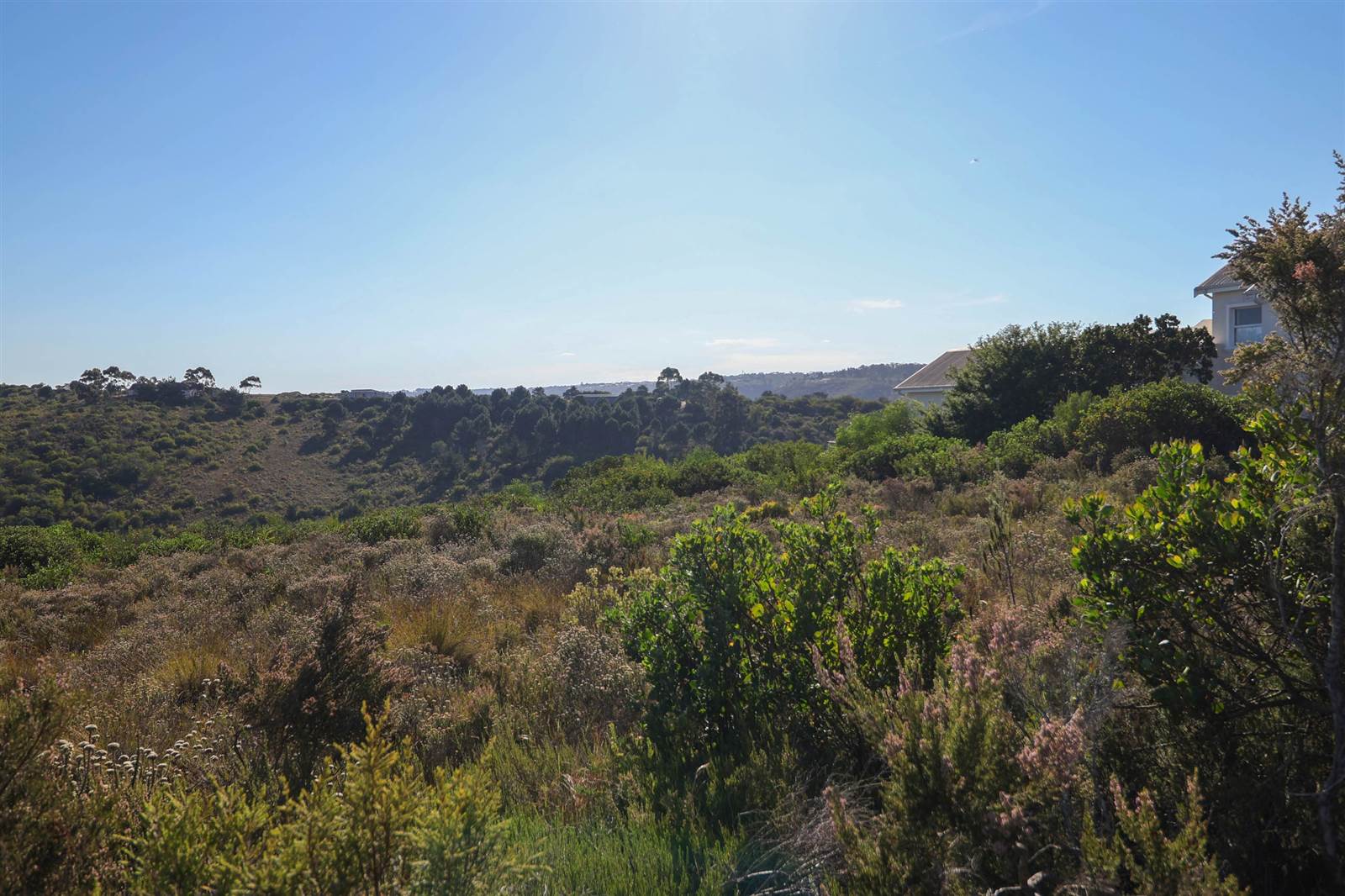 1500 m² Land available in Brackenridge photo number 6