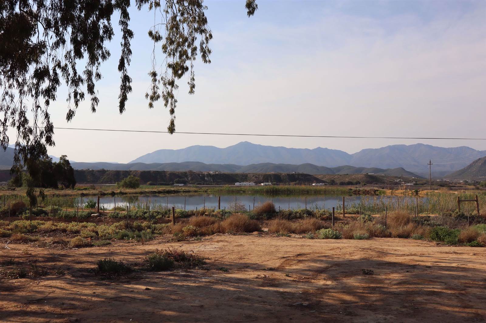 800 m² Land available in Calitzdorp photo number 1