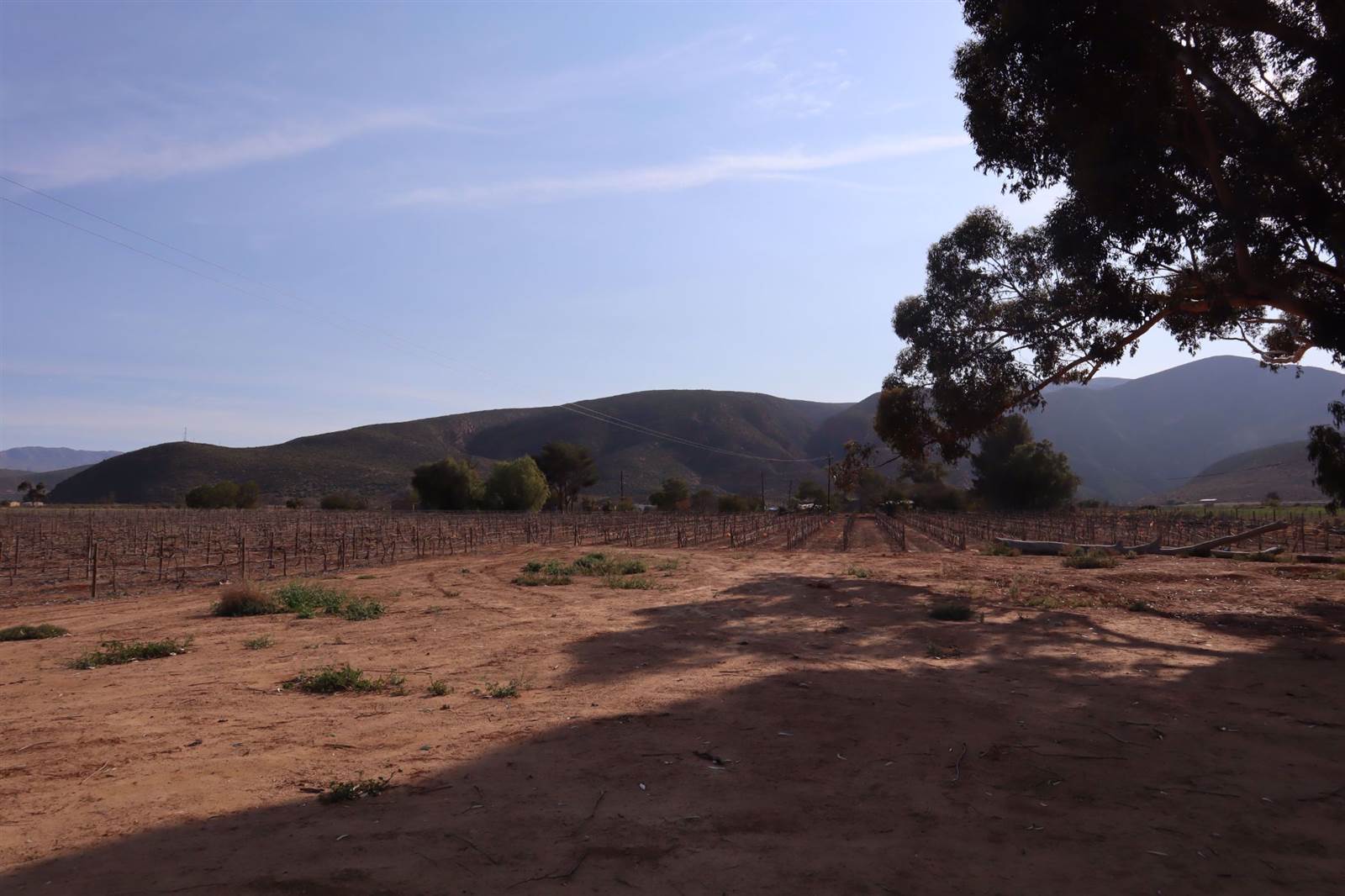 800 m² Land available in Calitzdorp photo number 7