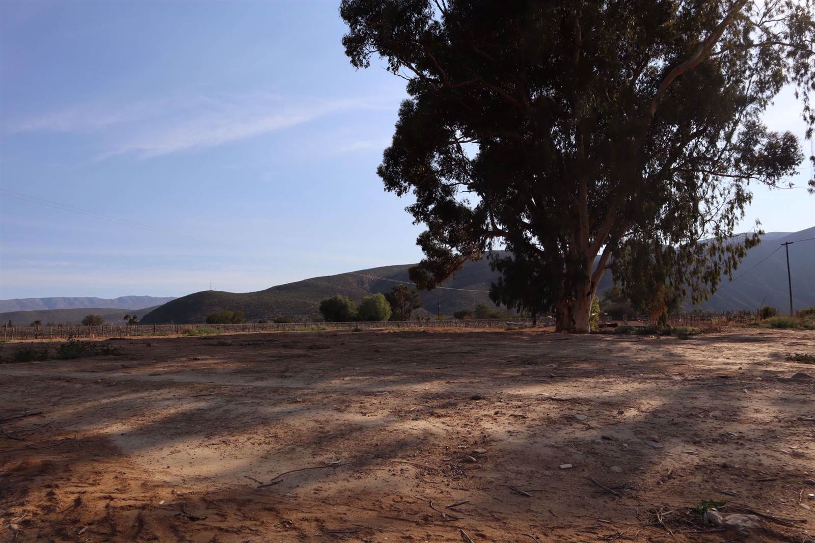 800 m² Land available in Calitzdorp photo number 5