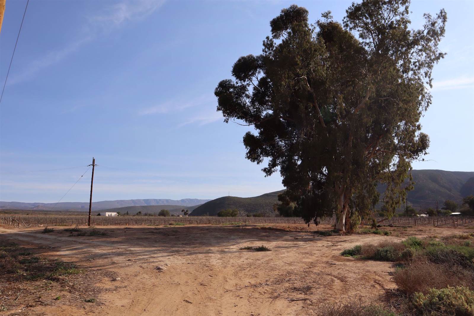 800 m² Land available in Calitzdorp photo number 6