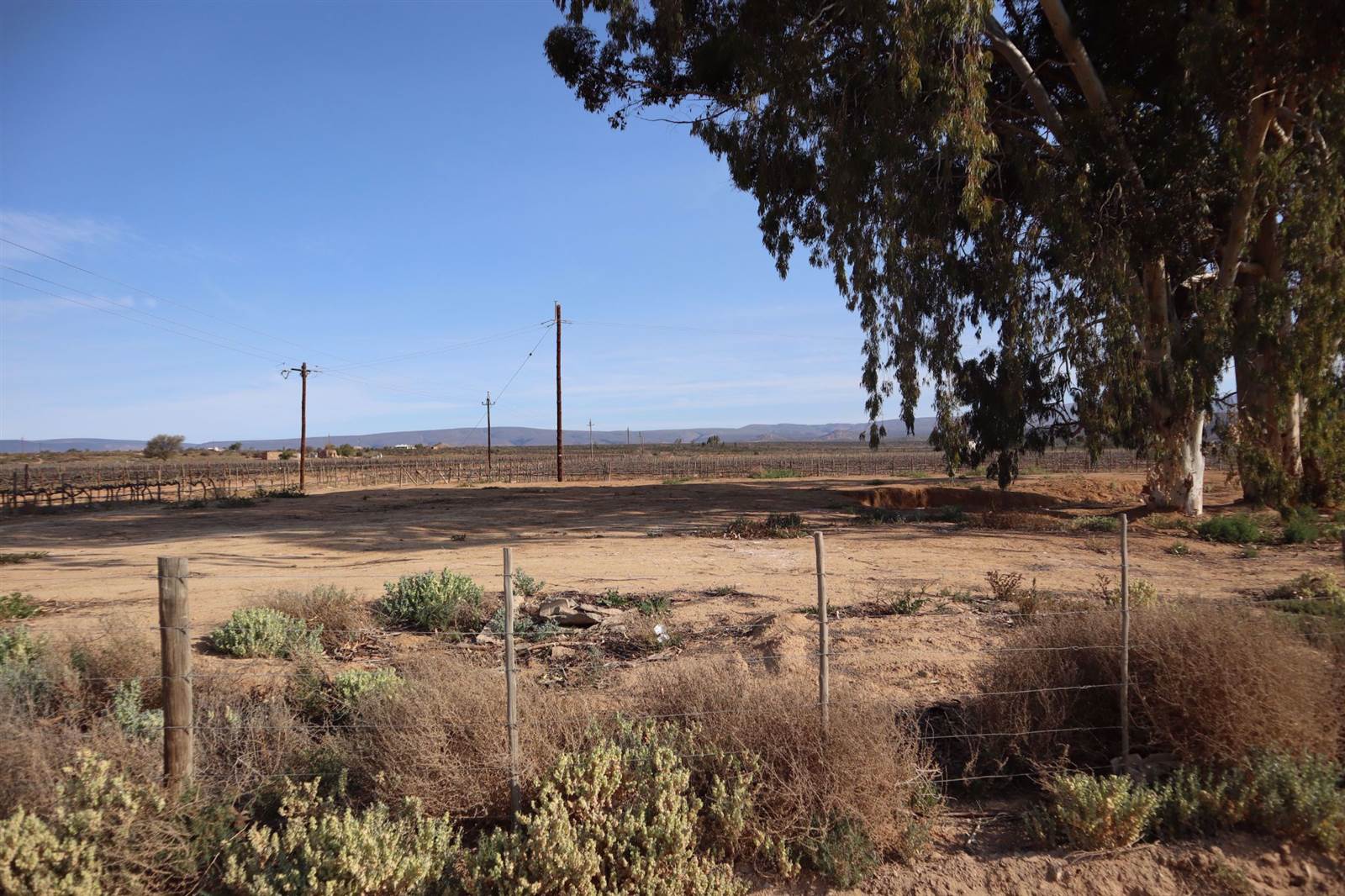 800 m² Land available in Calitzdorp photo number 11