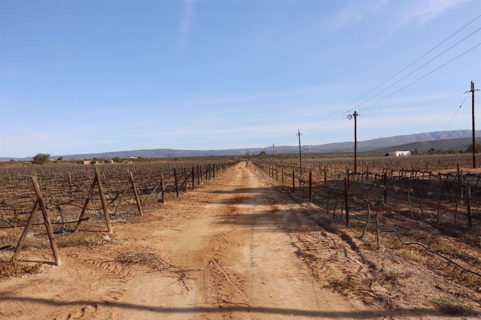 800 m² Land available in Calitzdorp photo number 10