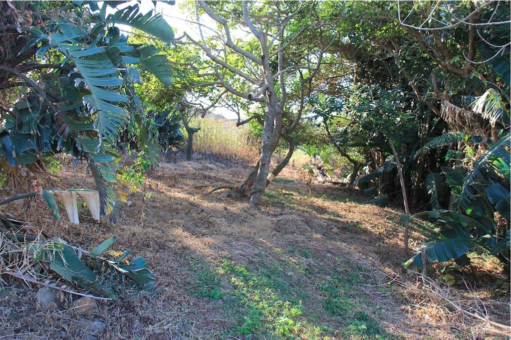 2033 m² Land available in Mtwalume photo number 4