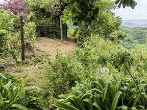 8.1 ha Farm in Port Shepstone