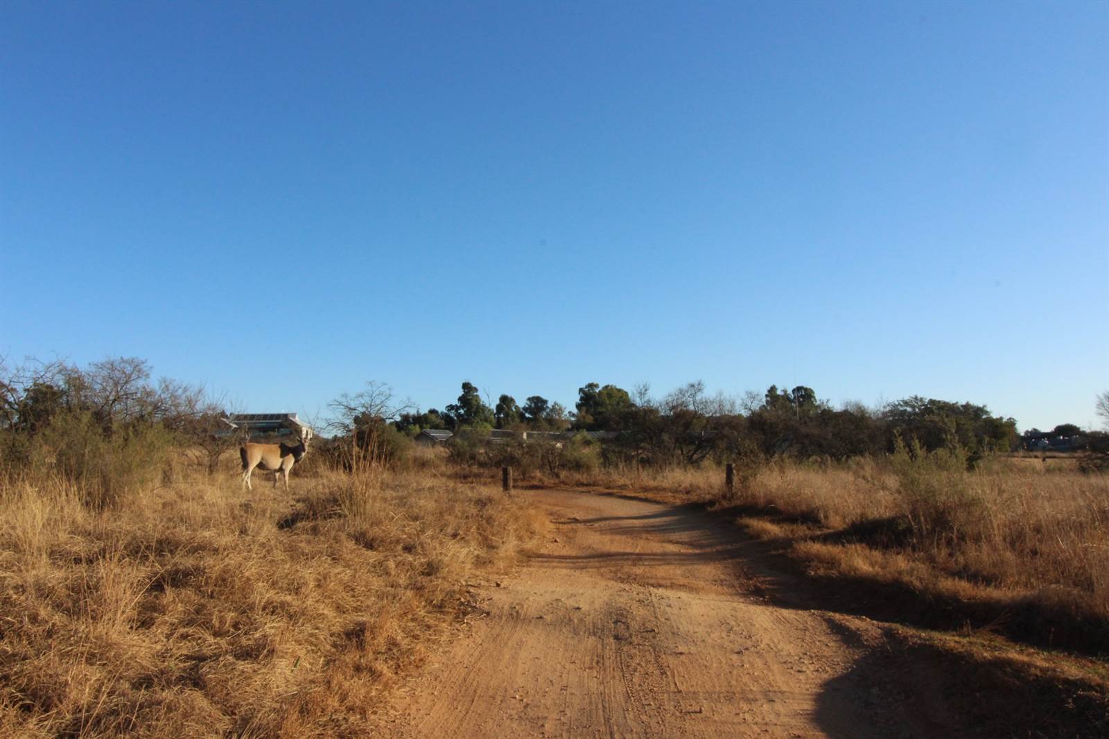 2.2 ha Land available in Sterkfontein and surrounds photo number 8