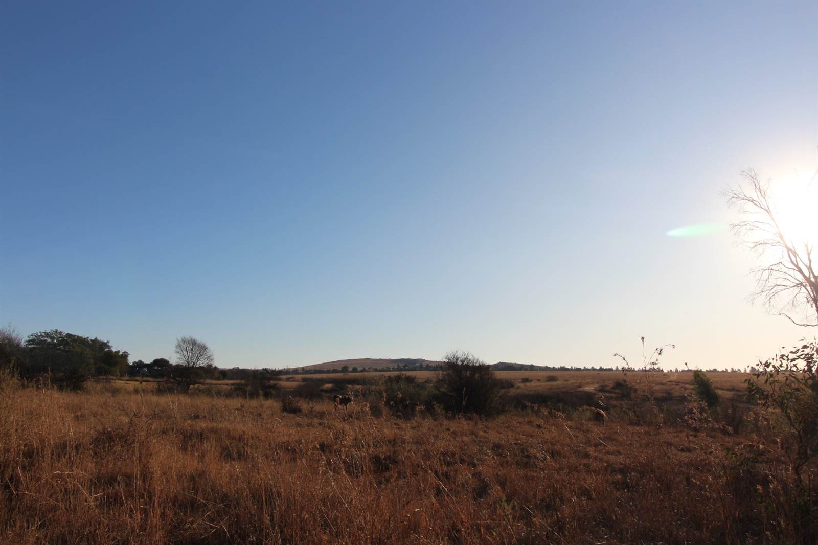 2.2 ha Land available in Sterkfontein and surrounds photo number 9
