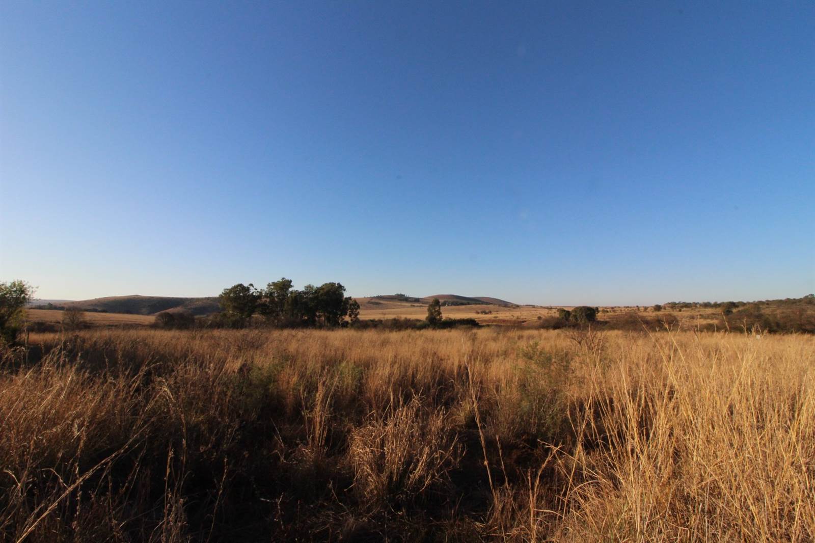 2.2 ha Land available in Sterkfontein and surrounds photo number 13
