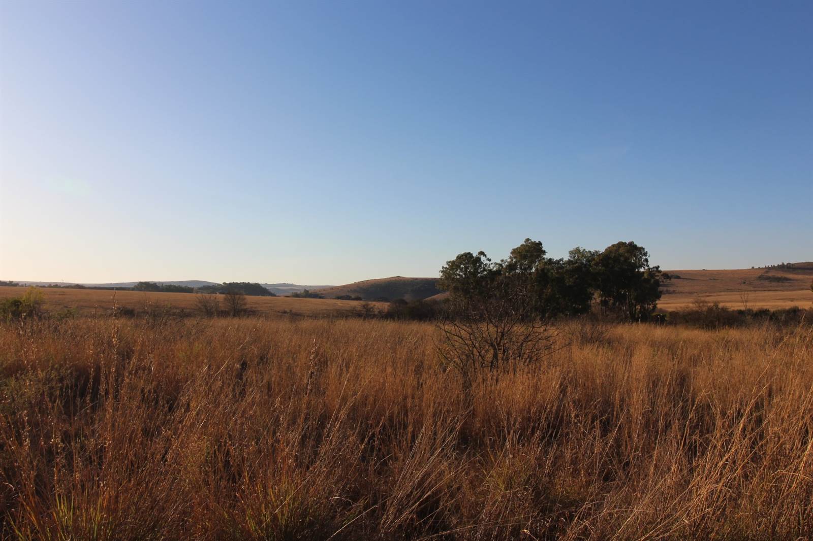 2.2 ha Land available in Sterkfontein and surrounds photo number 16
