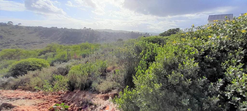 1500 m² Land available in Brackenridge photo number 3