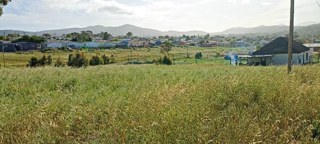 1475 m² Land available in Napier photo number 7
