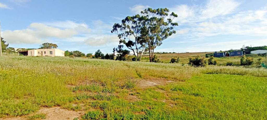 1475 m² Land available in Napier photo number 1