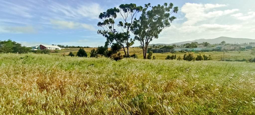 1475 m² Land available in Napier photo number 2