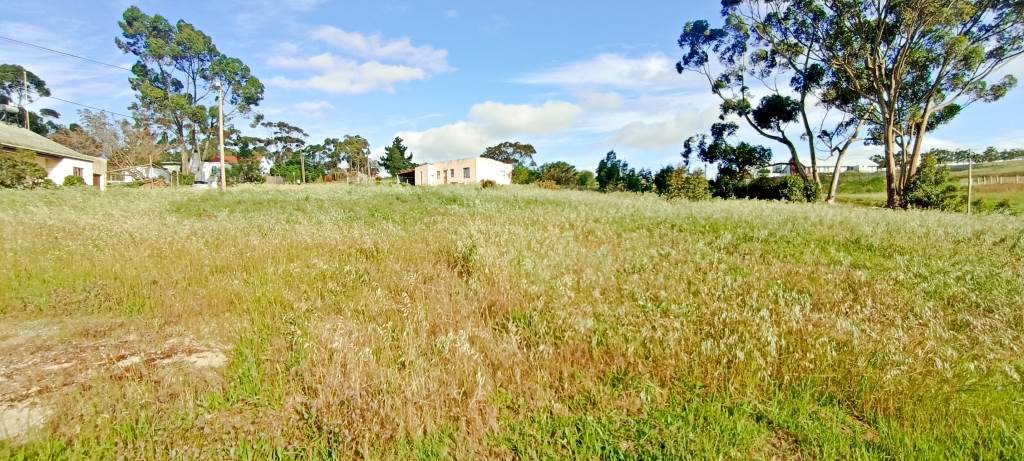 1475 m² Land available in Napier photo number 3