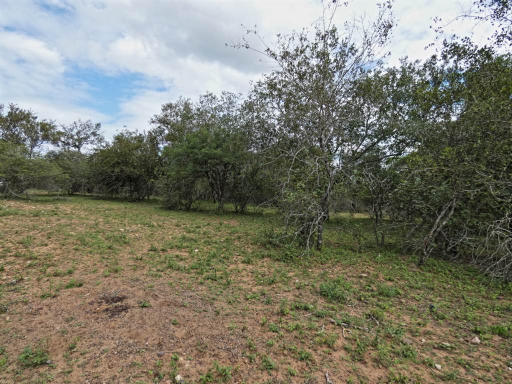 2034 m² Land available in Marloth Park photo number 3