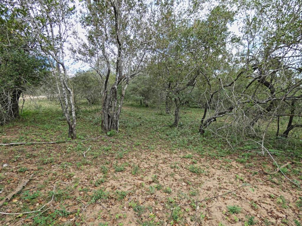 2034 m² Land available in Marloth Park photo number 10