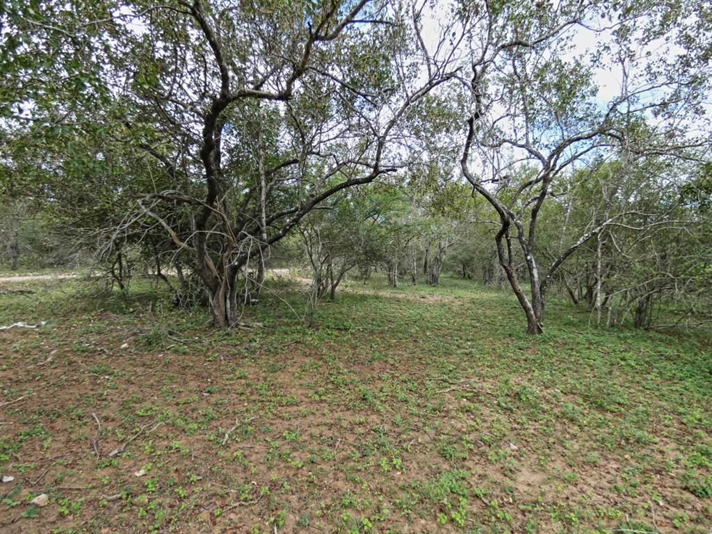 2034 m² Land available in Marloth Park photo number 7