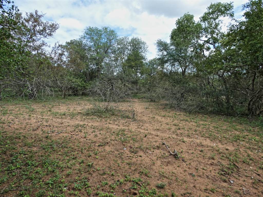 2034 m² Land available in Marloth Park photo number 5