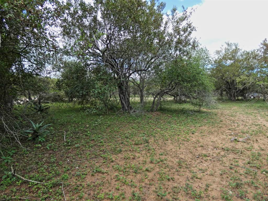 2034 m² Land available in Marloth Park photo number 4