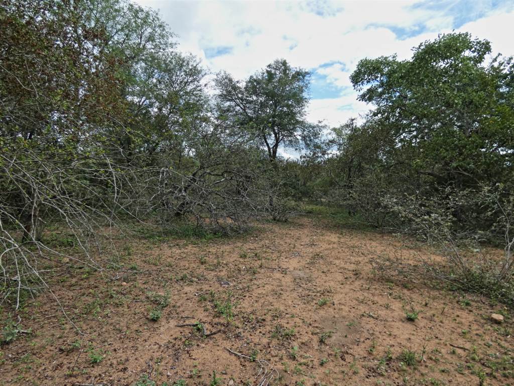 2034 m² Land available in Marloth Park photo number 6