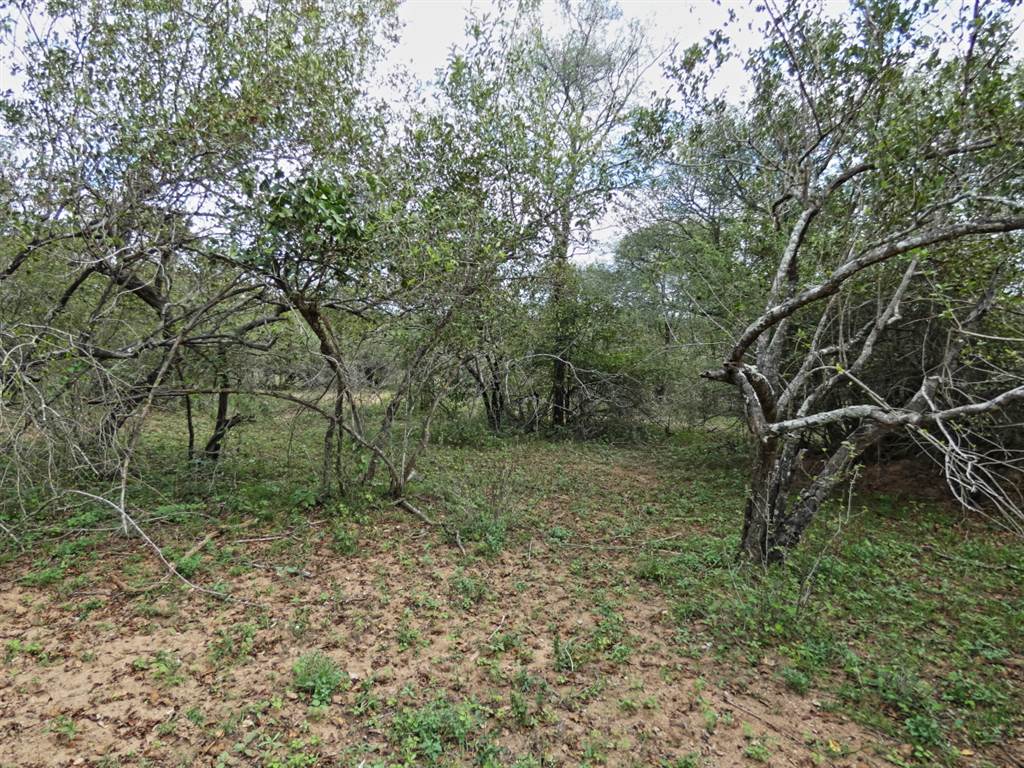2034 m² Land available in Marloth Park photo number 9