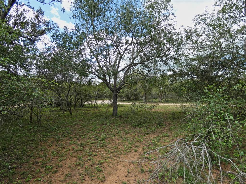 2034 m² Land available in Marloth Park photo number 2