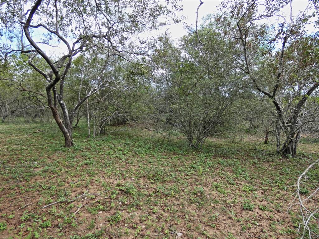 2034 m² Land available in Marloth Park photo number 8
