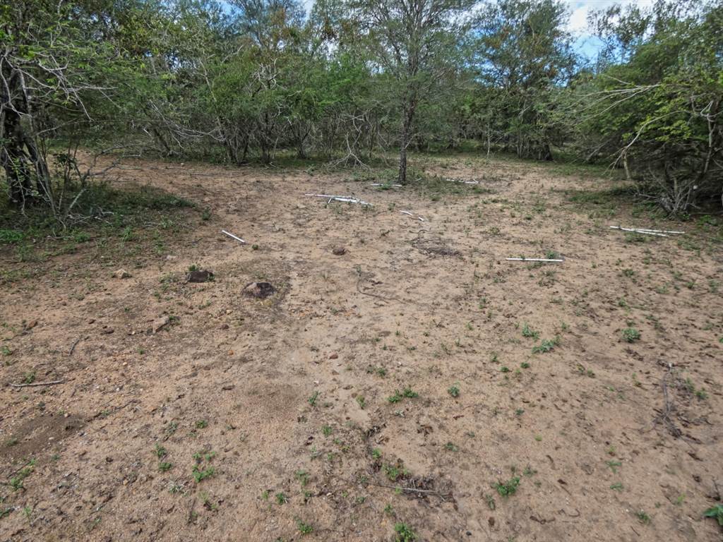 2034 m² Land available in Marloth Park photo number 14