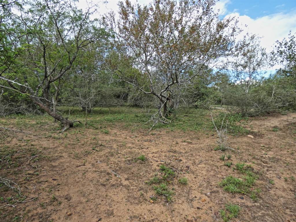 2034 m² Land available in Marloth Park photo number 13