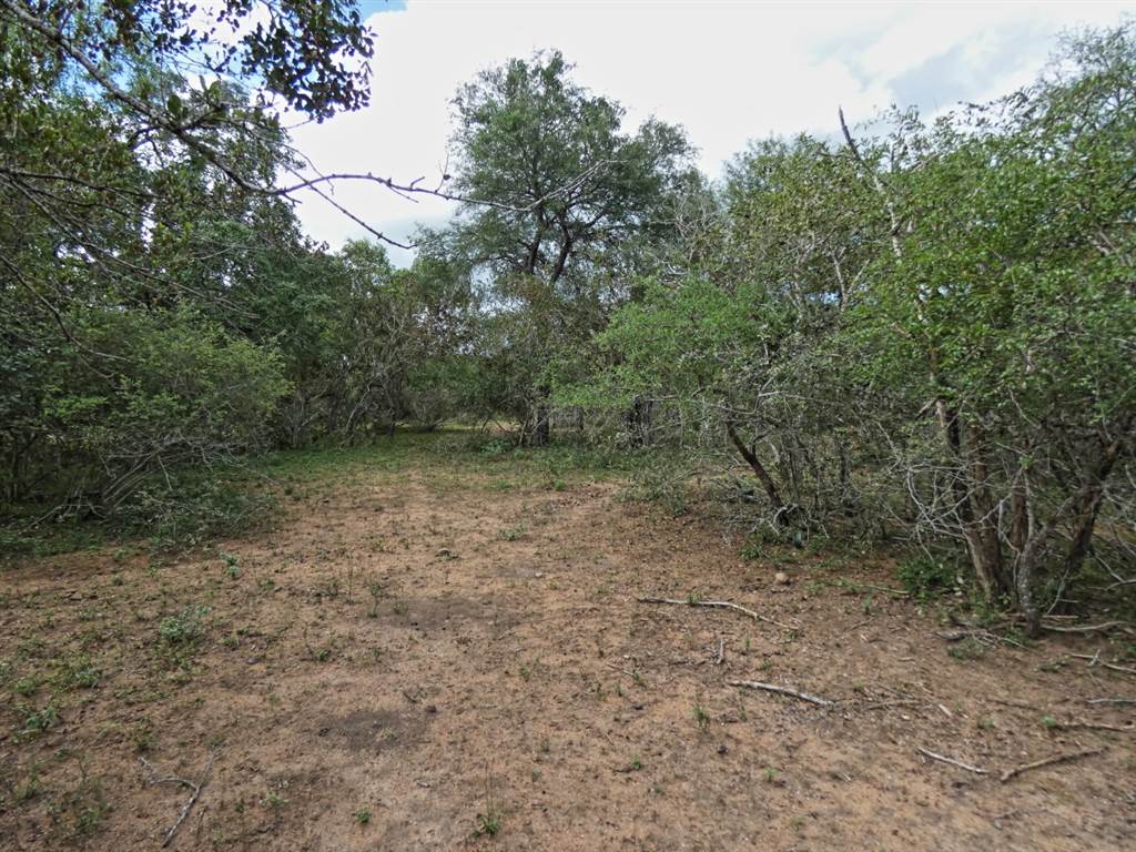 2034 m² Land available in Marloth Park photo number 15