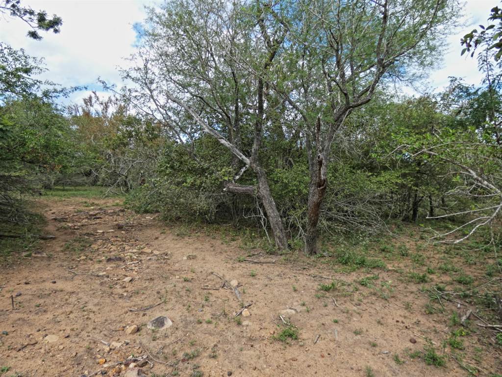 2034 m² Land available in Marloth Park photo number 12