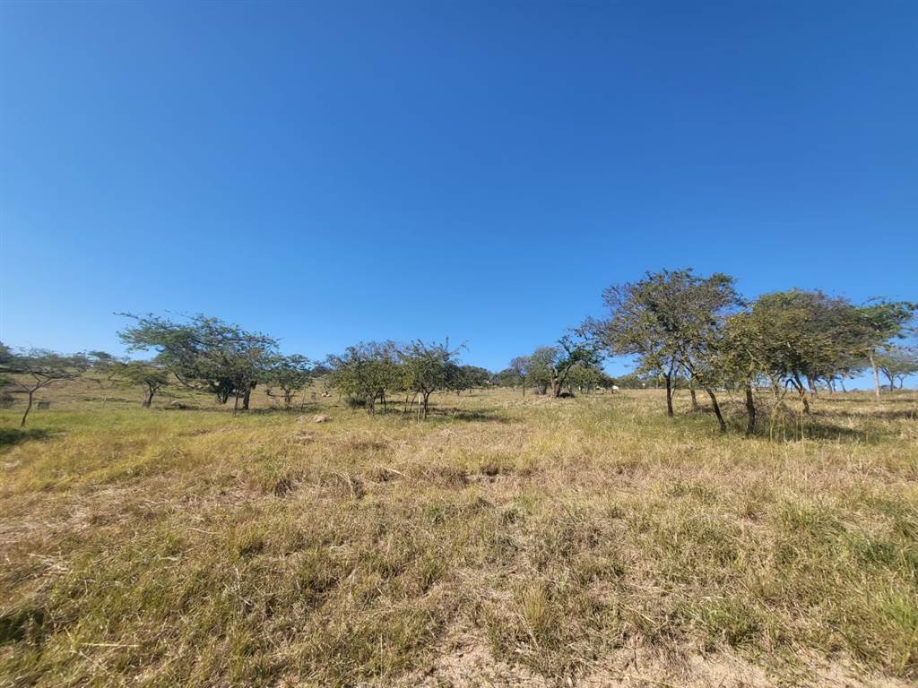 1161 m² Land available in The Rest Nature Estate photo number 15