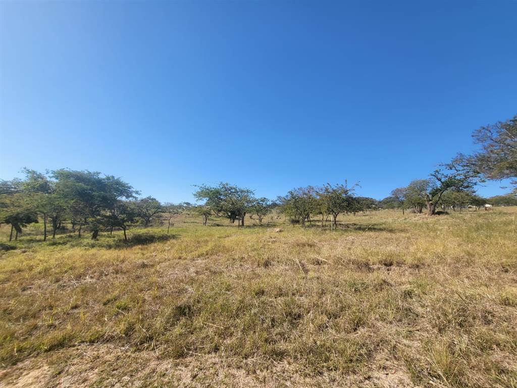 1161 m² Land available in The Rest Nature Estate photo number 6