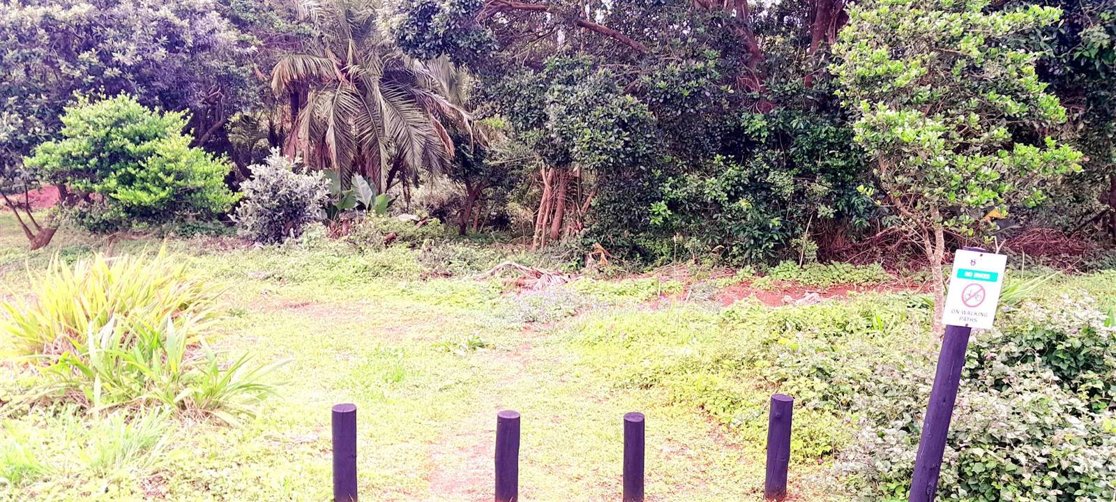 1170 m² Land available in Kelso photo number 11
