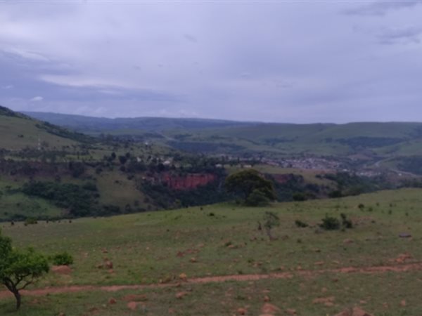98 ha Land