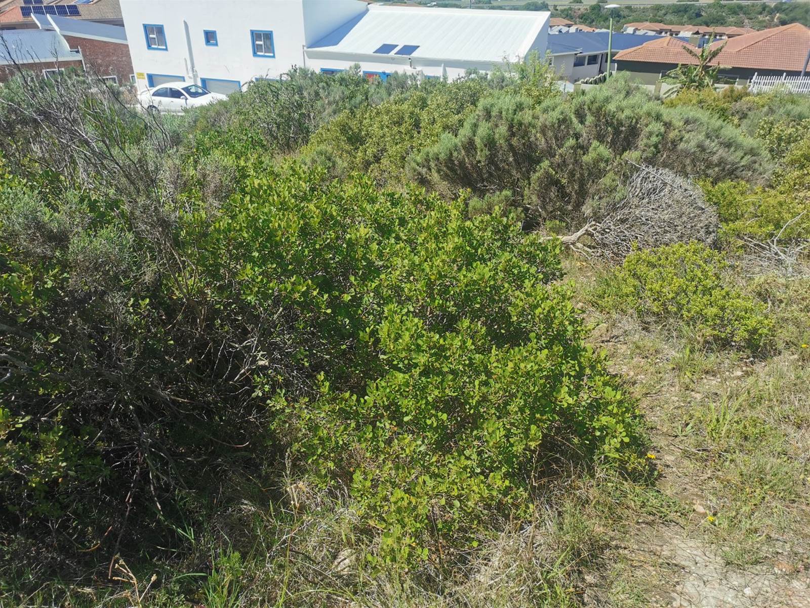 973 m² Land available in Island View photo number 4