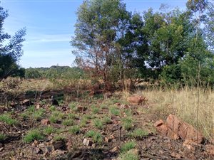 660 m² Land available in Ohenimuri