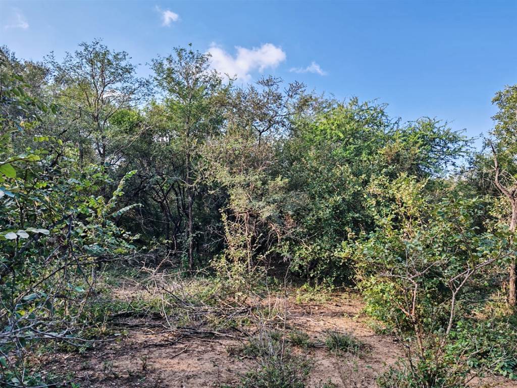 2052 m² Land available in Marloth Park photo number 9