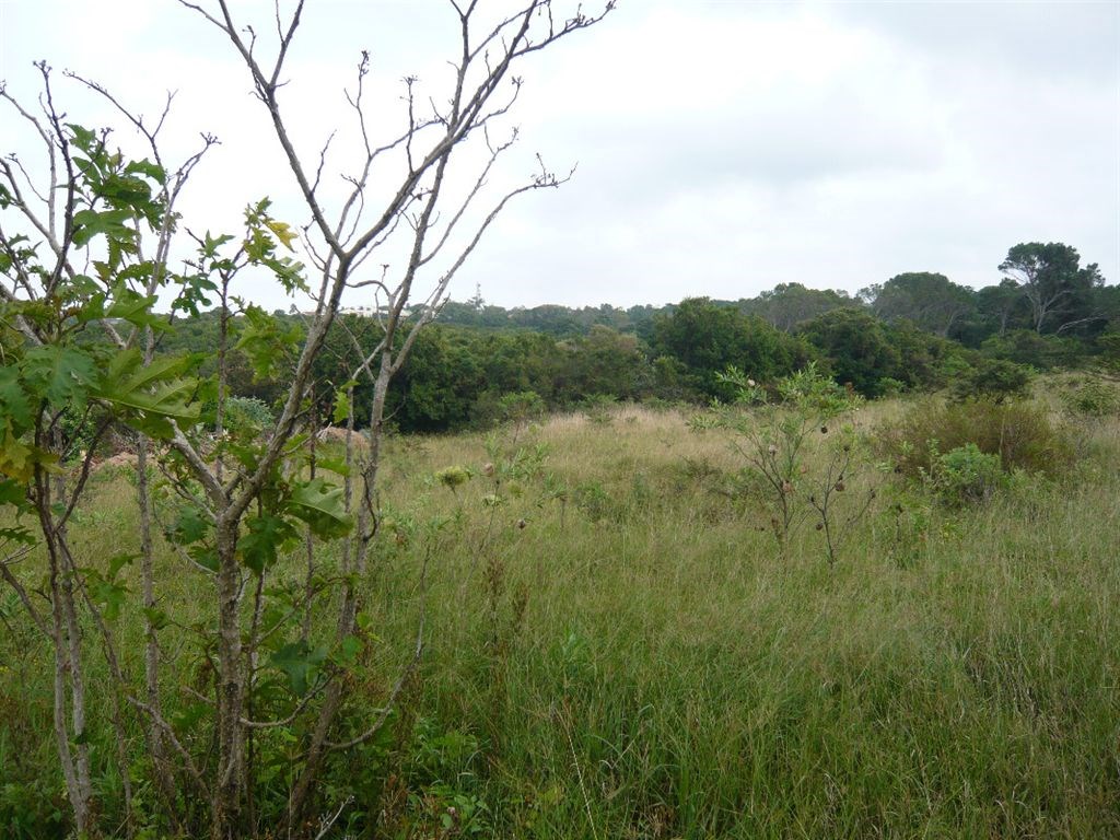 5.8 ha Land available in Beacon Bay photo number 7