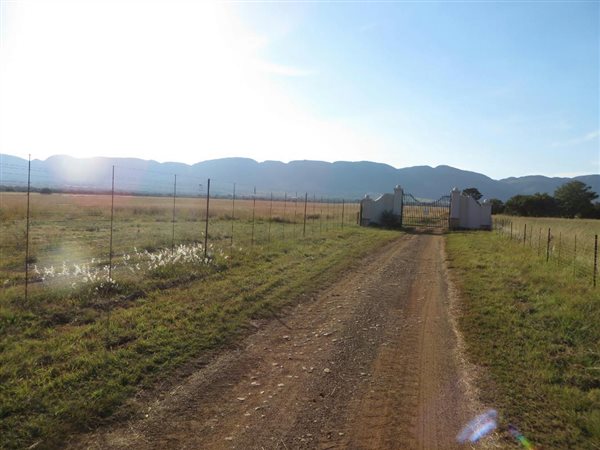 16.4 ha Smallholding