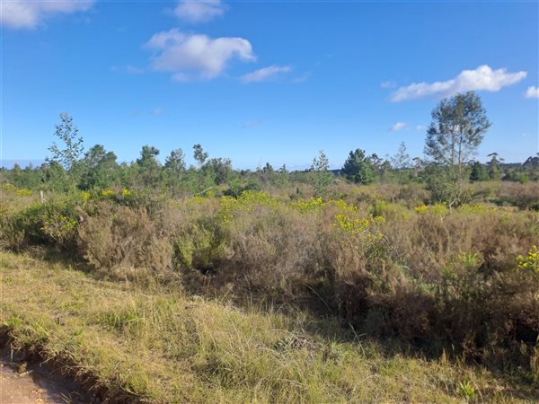 5024 m² Land available in The Crags